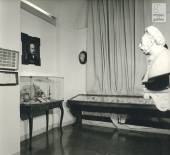  - Room dedicated to Filippo Pacini, set up at the Museum in the 1950s with instruments, portraits and specimens acquired in 1925